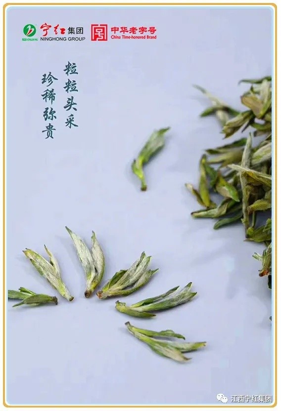 1645510821115884.jpg 640.webp (5).jpg