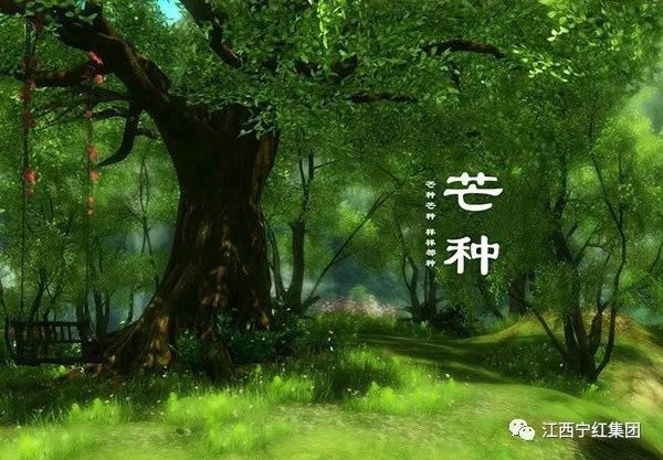 1645579233130128.jpg 1.jpg