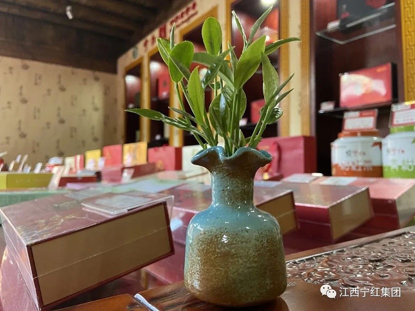 1645580095114606.jpg 4.jpg