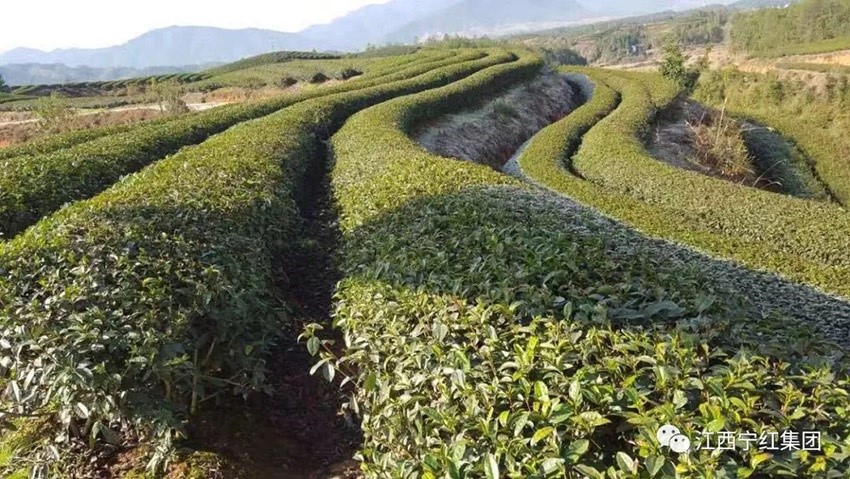 1645582110266151.jpg 1.jpg