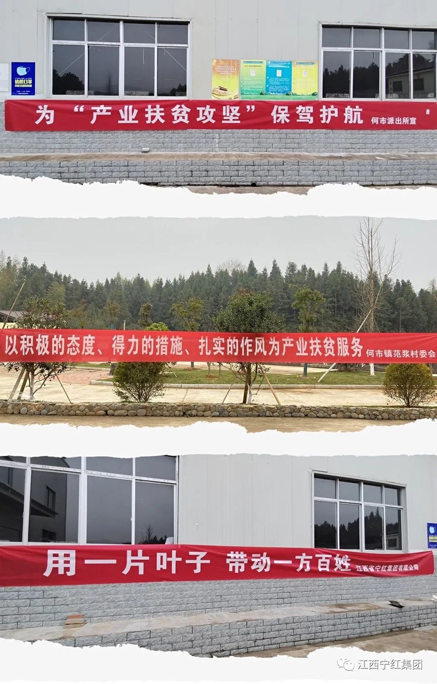 1645584321100109.jpg 2.jpg