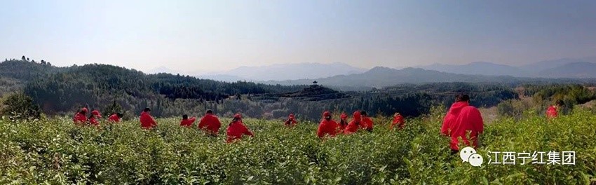 1645584454634589.jpg 1.jpg