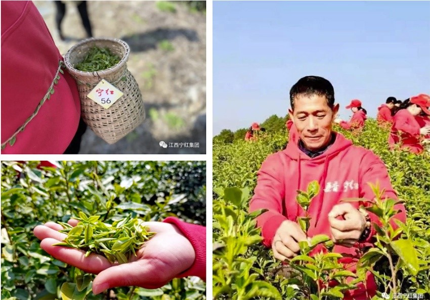 1645584494884174.jpg 1.jpg