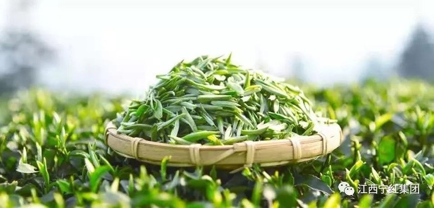 1645584602404068.jpg 1.jpg