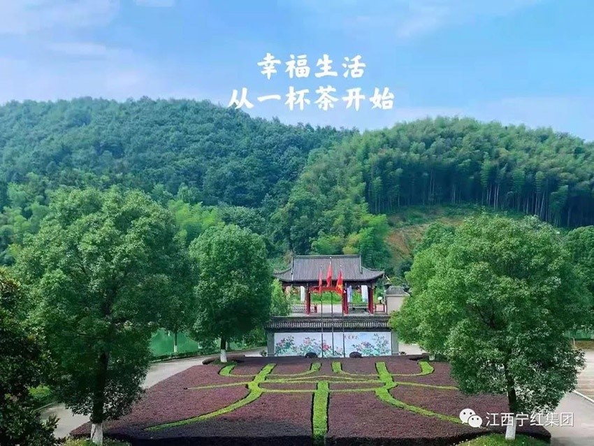 1645594480956682.jpg 1.jpg