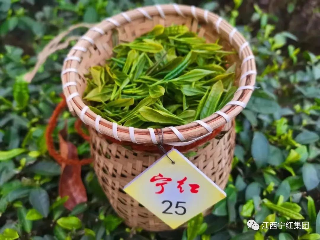 1657172021301308.jpg 3.jpg