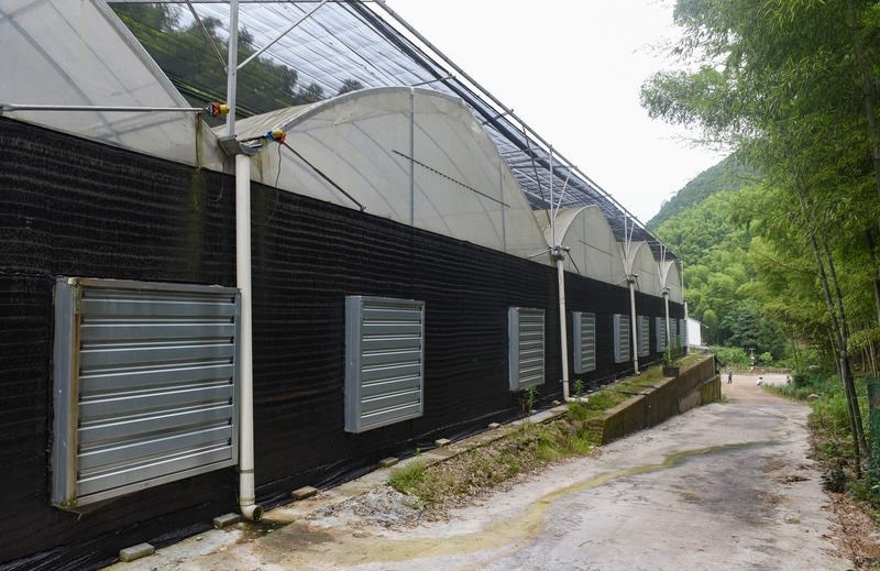 1657172588662259.jpg 5.jpg