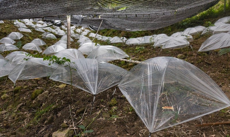 1657172597269465.jpg 6.jpg