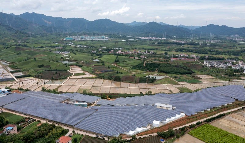 1657172688292013.jpg 10.jpg