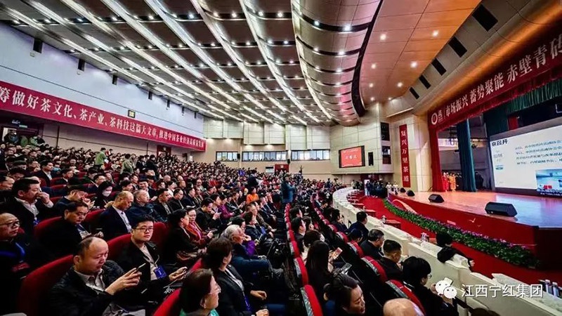 1706845460545513.jpg 6.jpg